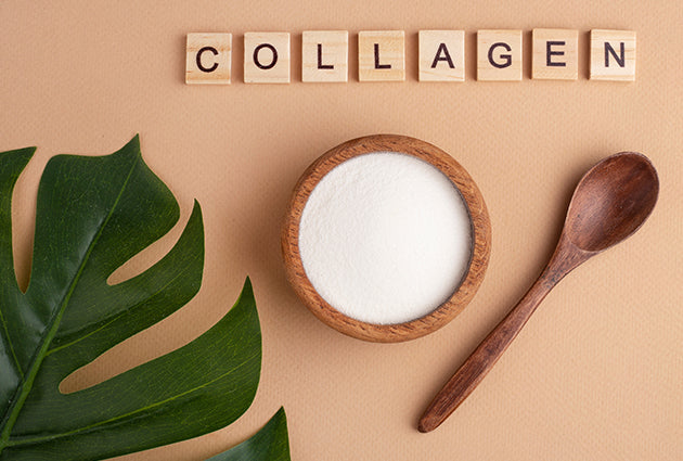 What is collagen?